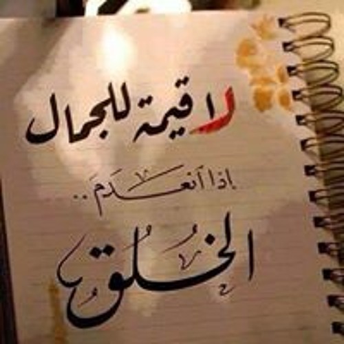 Mahmoud Salama’s avatar