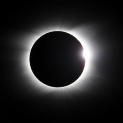 eCLipse81