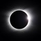 eCLipse81