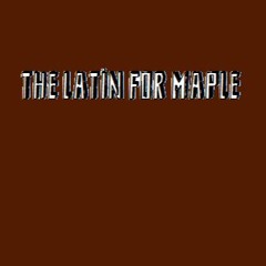 THE LATIN FOR MAPLE
