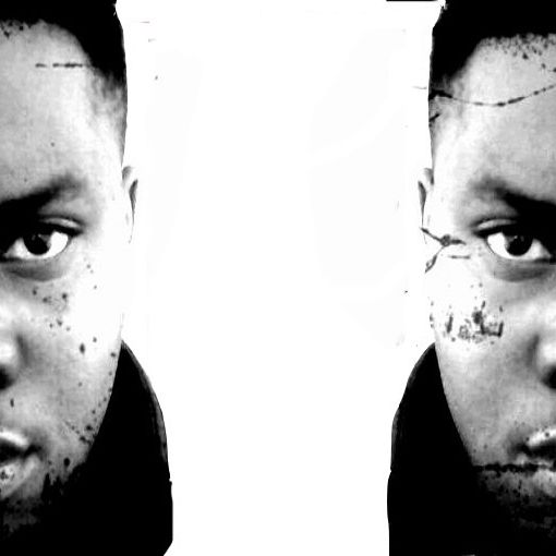 Kasikid