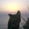 Amit Chananel