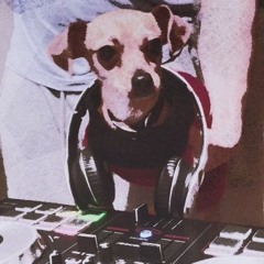 DJ Le Prince