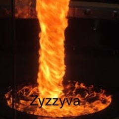 Zyzzyva