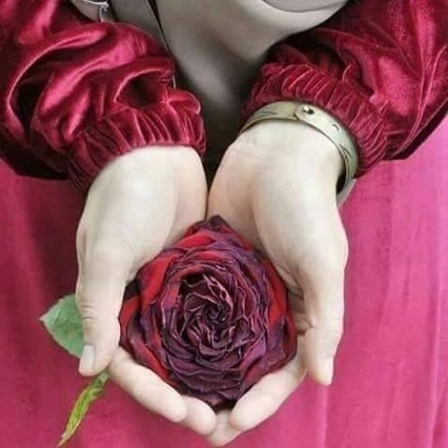 مالك