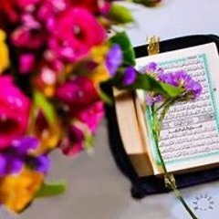 کرم الششتاوى