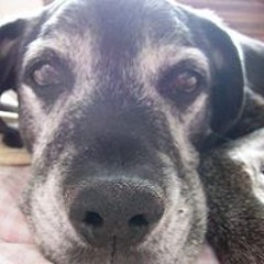 Pamela Rodriguez Lira