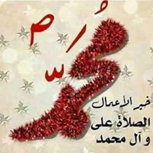 Mohamed Elmlah’s avatar