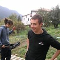 Michele Anesin