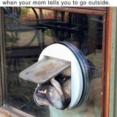 Elena Rest Valdambrini