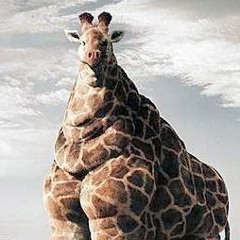 Giraffestockmc