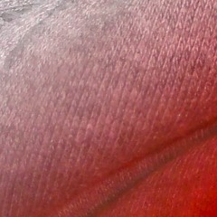 Lili Dude = לילי דוד