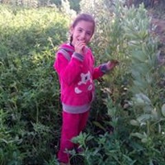 عباس سمير