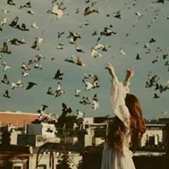 Alaa Elbarbary