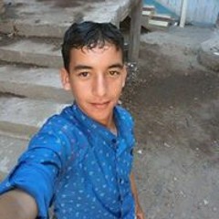 محمود بحيري