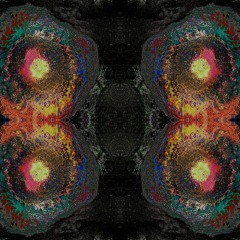 AciDl SAnker