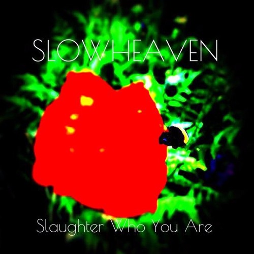Slowheaven’s avatar