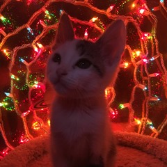 Dulceria La Princesita