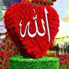 إسماعيل العوام
