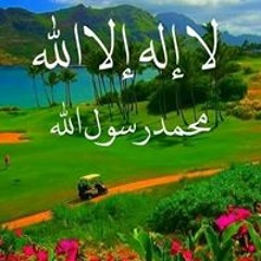 على محمود المغربي