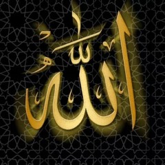 عبد العزيز سليم