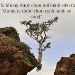 Lê Đức Vịnh