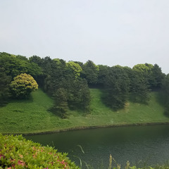 可寿也小林 S Stream