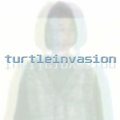Turtle Invasion