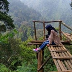 Zacka Pullfans Cie'cipiet