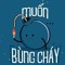 Cuong Nguyenviet