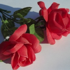Succumb Valentine