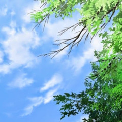 قصة صفات الرسول صلى الله عليه وسلم