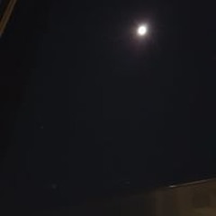 Tatjana Lenoci-Kälin