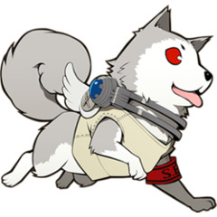 Donaar