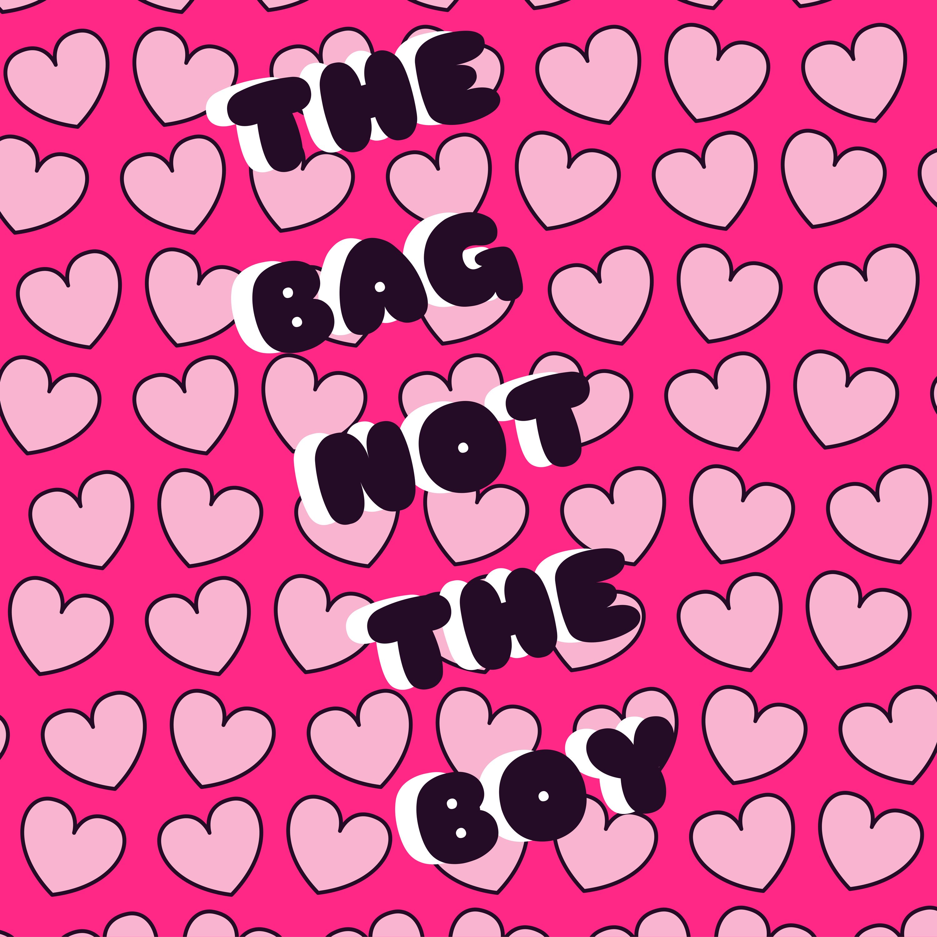 THE BAG NOT THE BOY