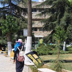 سارة أبودية