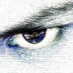 Shamanavi & Pro Test