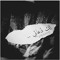 فاطمة الزهراء ومعاذ