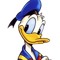 Donald Nuck