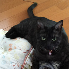 たけだけいこ（chunchanchunko）