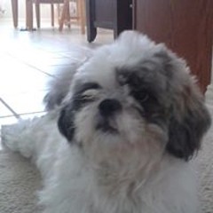 Mishayel Khevin Buena