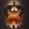 Killer Racoon