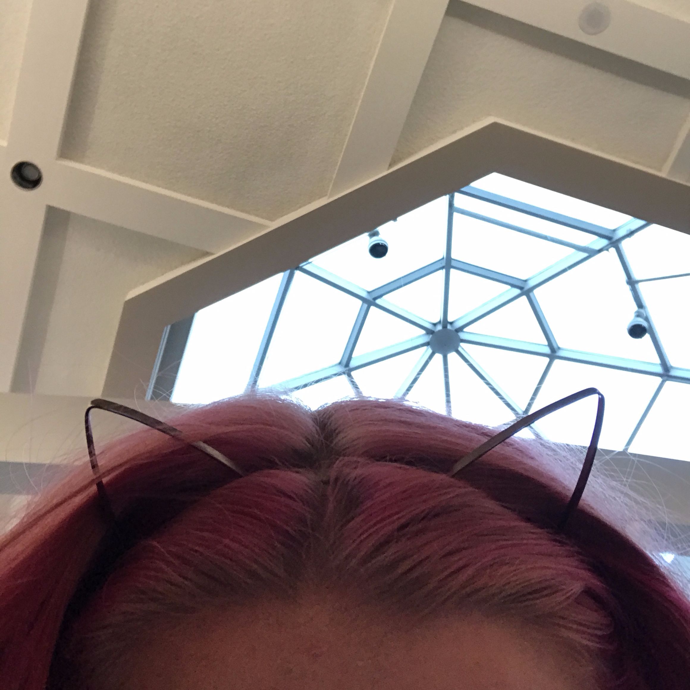 goosebums