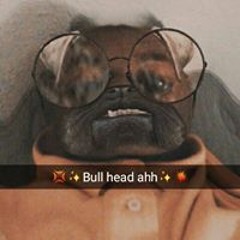 carmellocooper
