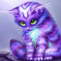 kittyfancypants