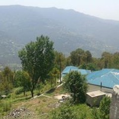 Arsal Javed
