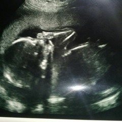 Selladore Hawkins & The Exalted Ones