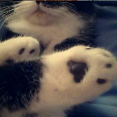 Its ok you can look at my butt