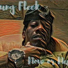 Young Fleek Money Gang