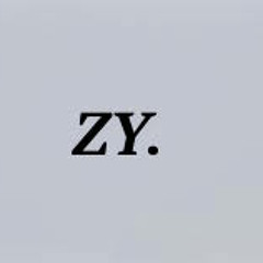 DJ ZY